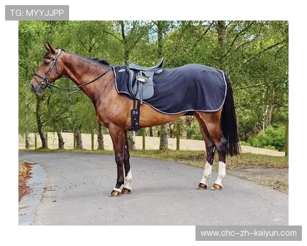 美国马术协会引入智能马鞍系统，实现实时数据监测与分析，提升骑乘体验。